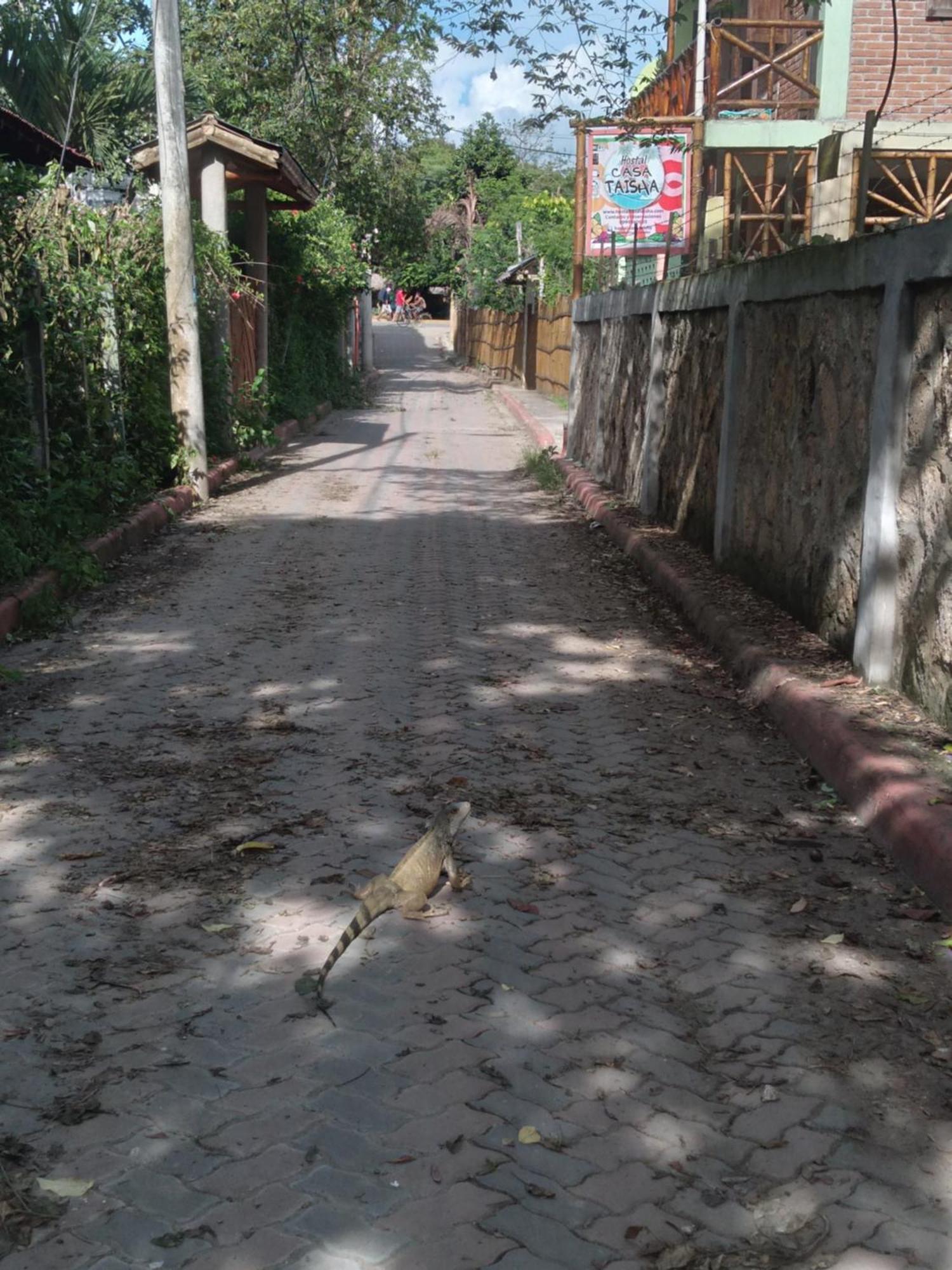Hostal Casa Taisha Montanita Luaran gambar